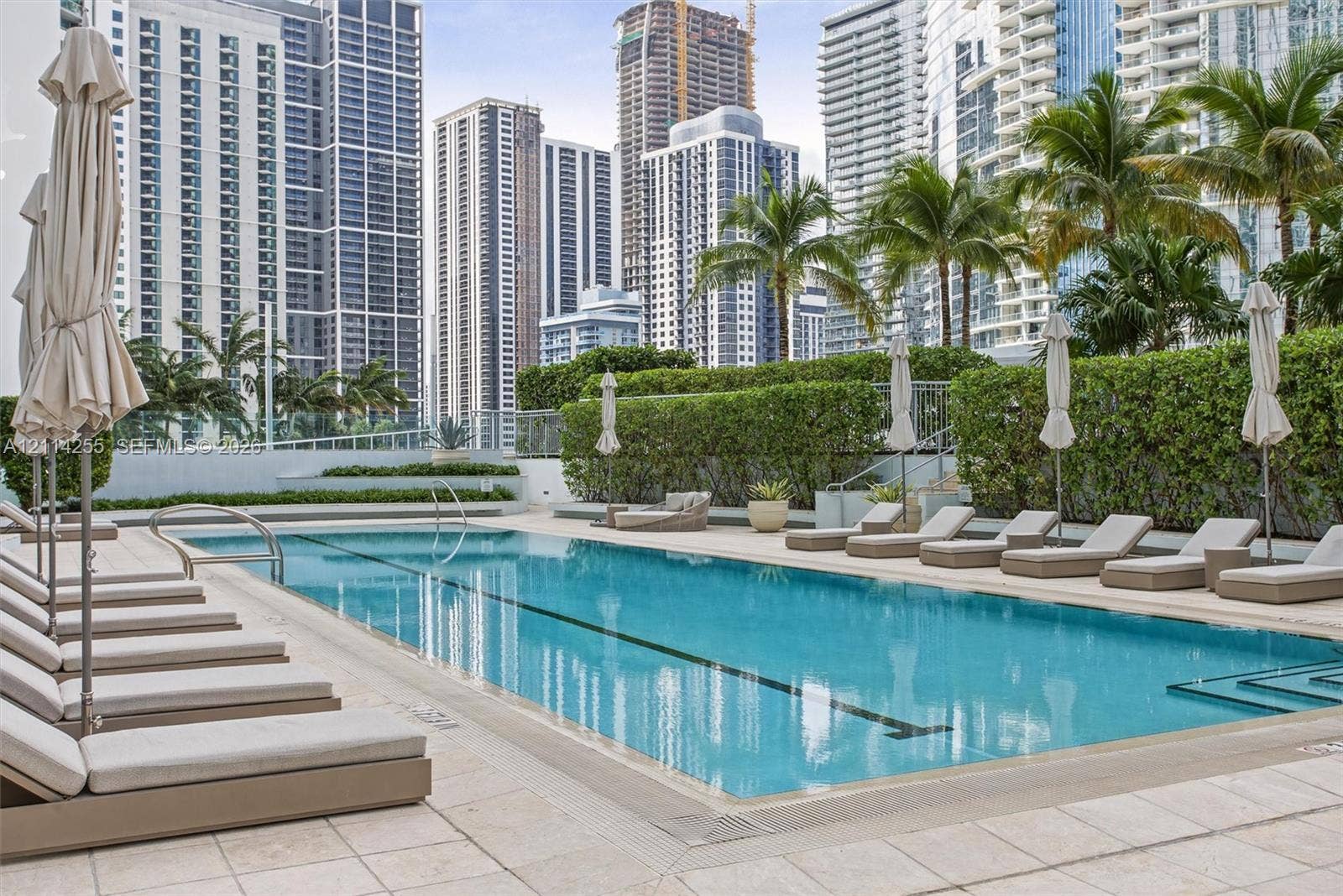 900 Biscayne Boulevard, #1705, Miami, FL 33132 Swimming pool with a lap lane, surrounded by stone-tile decking and mature privacy hedging, featuring a prominent urban skyline backdrop