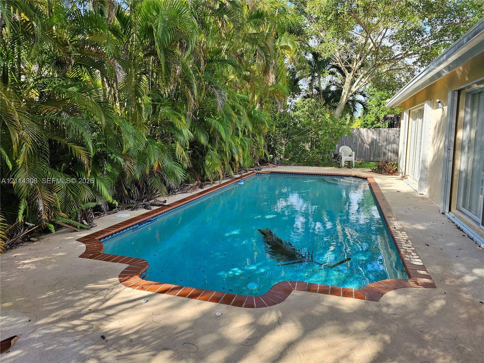 In-ground swimming pool with a brick-trimmed border and concrete patio surround, shaded by mature palms and foliage