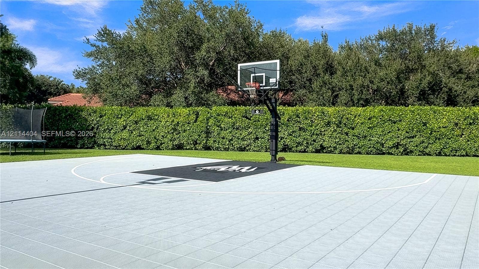 Hard-surface basketball court with a built-in hoop, glass backboard, and perimeter privacy hedges