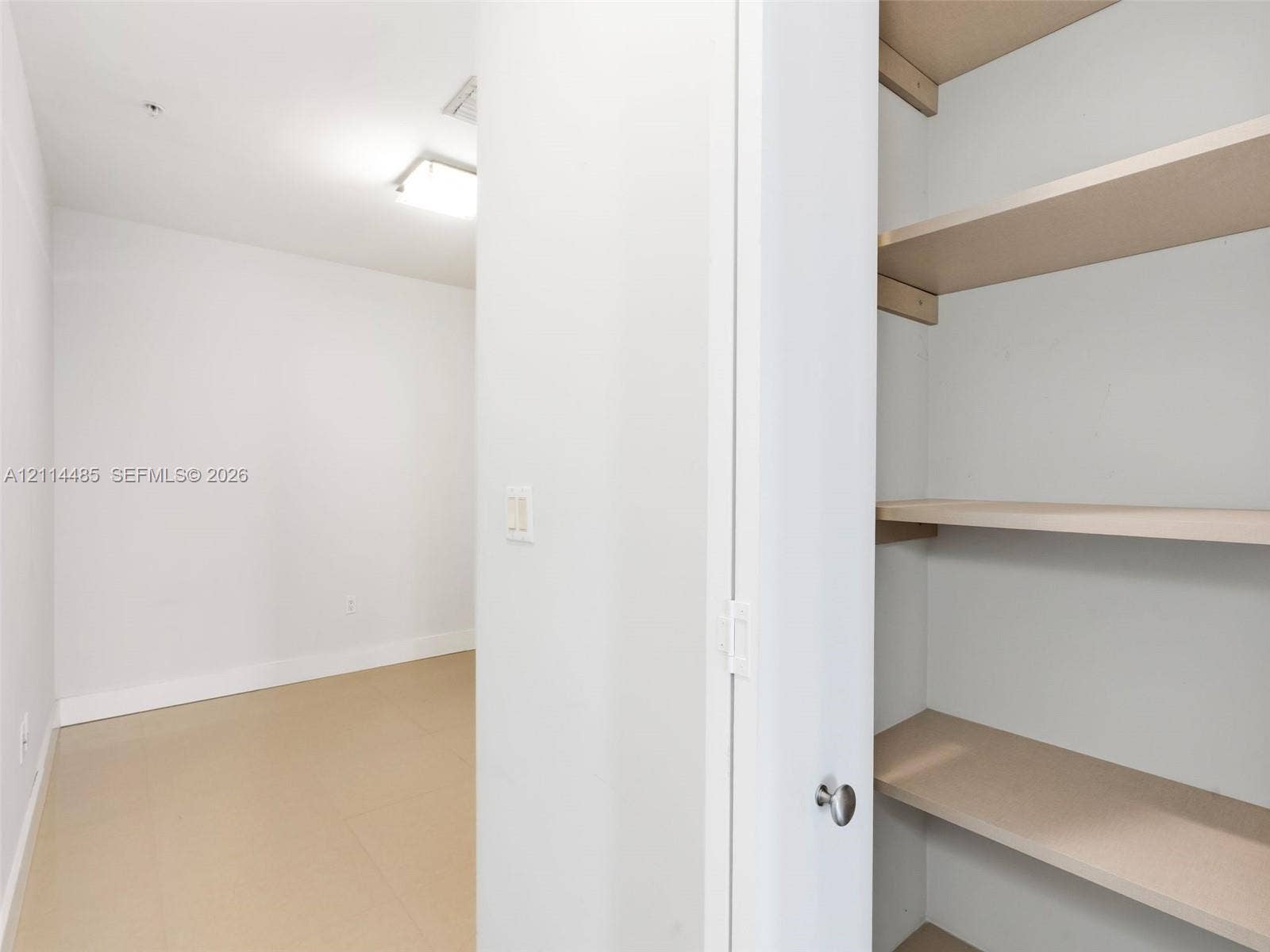Storage closet featuring built-in shelving, neutral-toned flooring, and a flush-mount light fixture