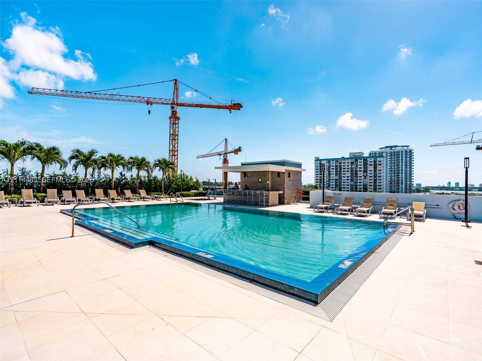 Rooftop pool with tiled surround, built-in poolside bar, and perimeter palm trees
