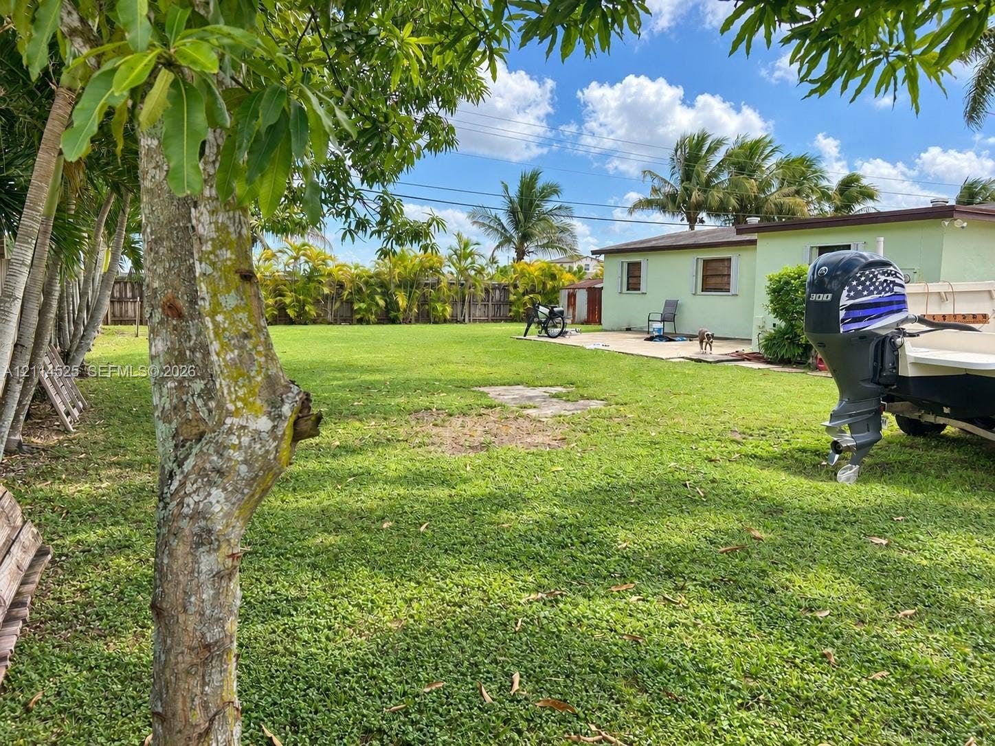 18905 SW 313th Terrace, Homestead, FL 33030 Expansive backyard featuring a concrete patio, perimeter fencing, mature trees, and established landscaping