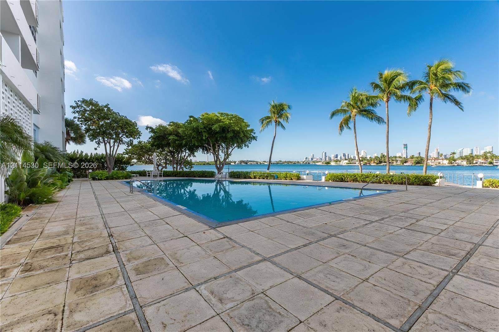 3 Island Avenue, #14L, Miami Beach, FL 33139 Swimming pool featuring a paved deck, surrounding mature landscaping, and palm trees