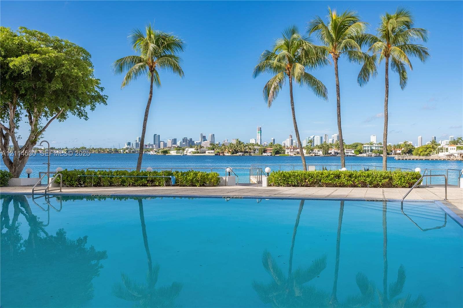 3 Island Avenue, #14L, Miami Beach, FL 33139 Swimming pool with paved surround, metal railings, mature palm trees, and waterfront perimeter