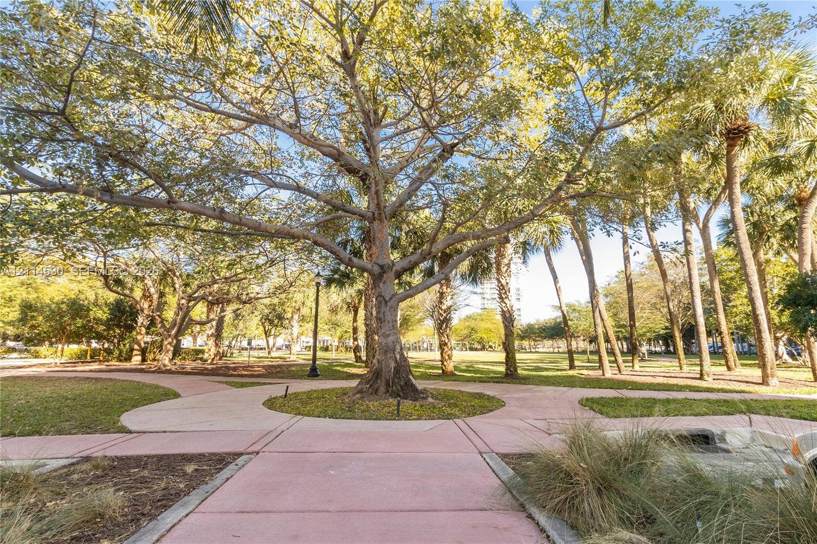 3 Island Avenue, #14L, Miami Beach, FL 33139 Ground-level exterior featuring paved pedestrian pathways, mature deciduous trees, established palm trees, and manicured lawn areas