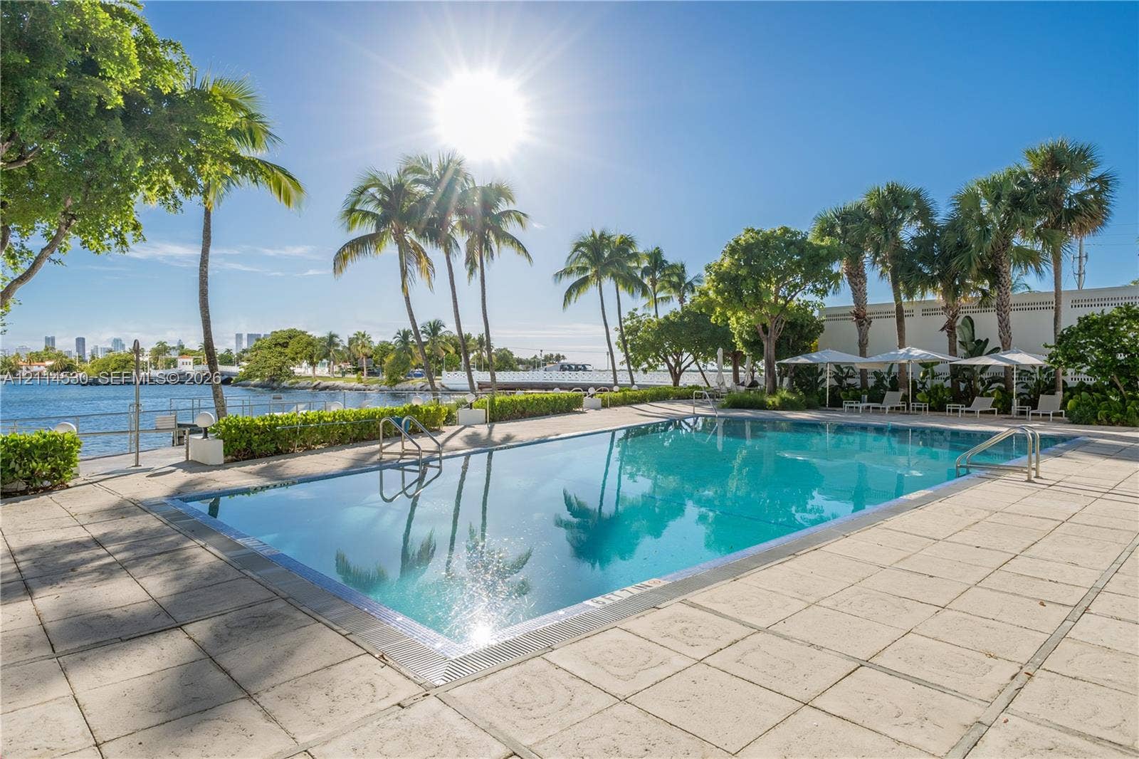 3 Island Avenue, #14L, Miami Beach, FL 33139 Waterfront swimming pool with tiled decking, metal perimeter fencing, and mature palm trees