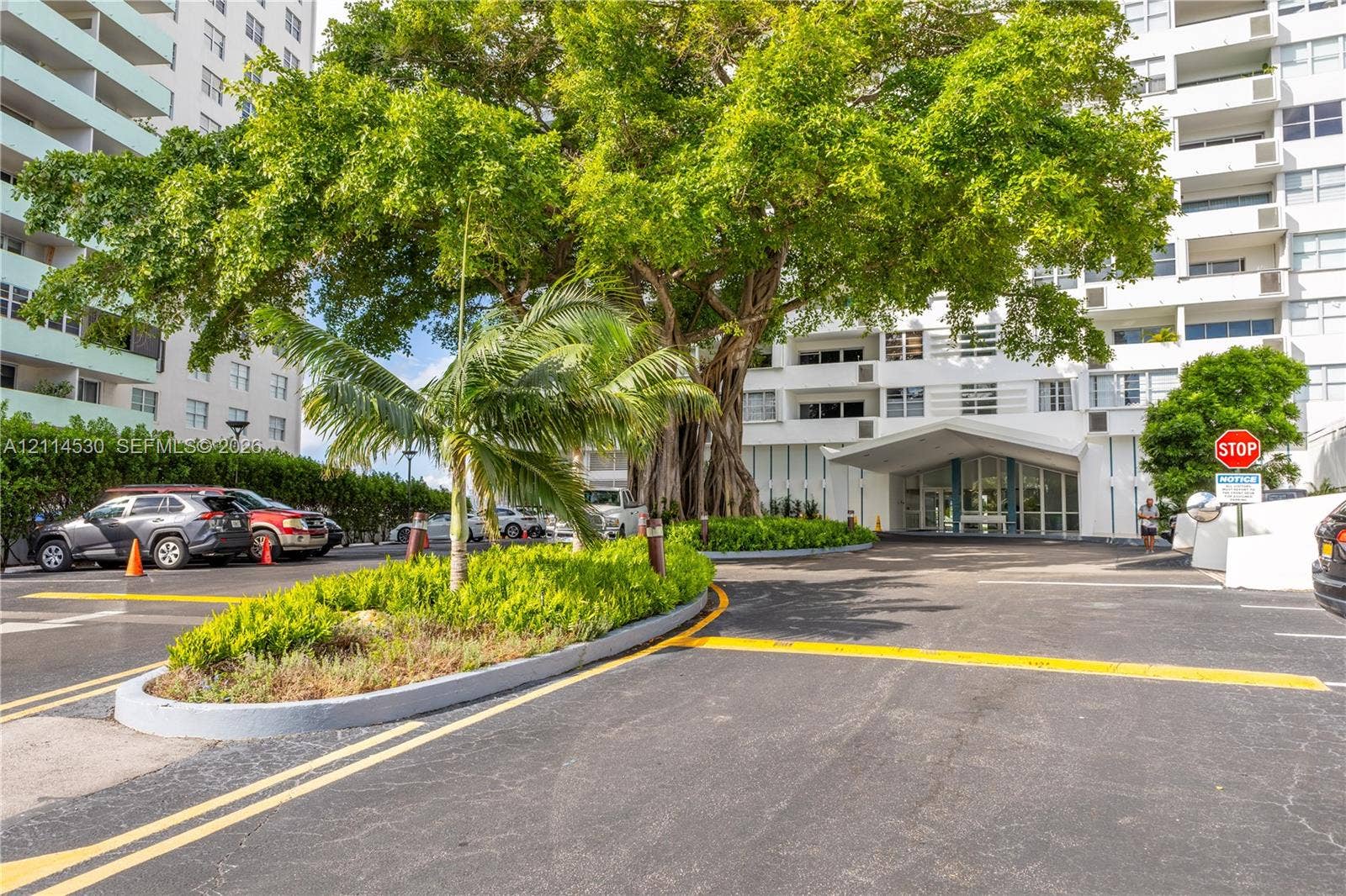 3 Island Avenue, #14L, Miami Beach, FL 33139 Exterior building facade featuring a cantilevered entryway canopy, mature Banyan tree, and landscaped islands
