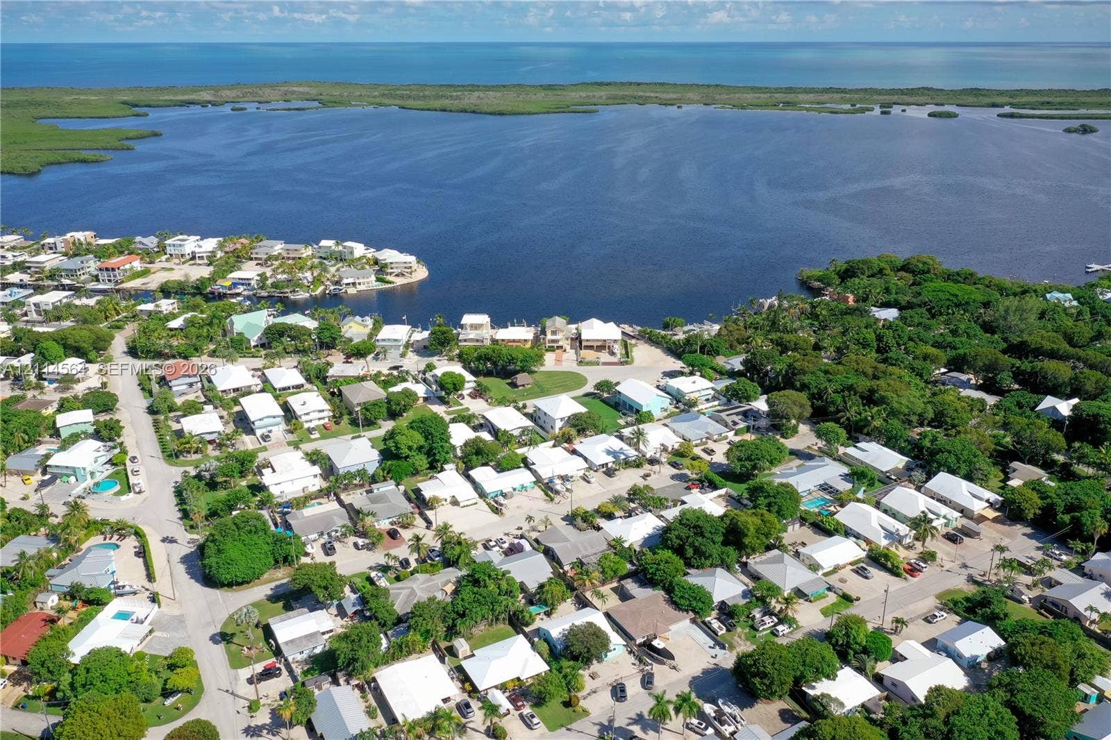 Aerial perspective featuring coastal waterfront location, extensive mature tree canopy, and dense residential neighborhood layout