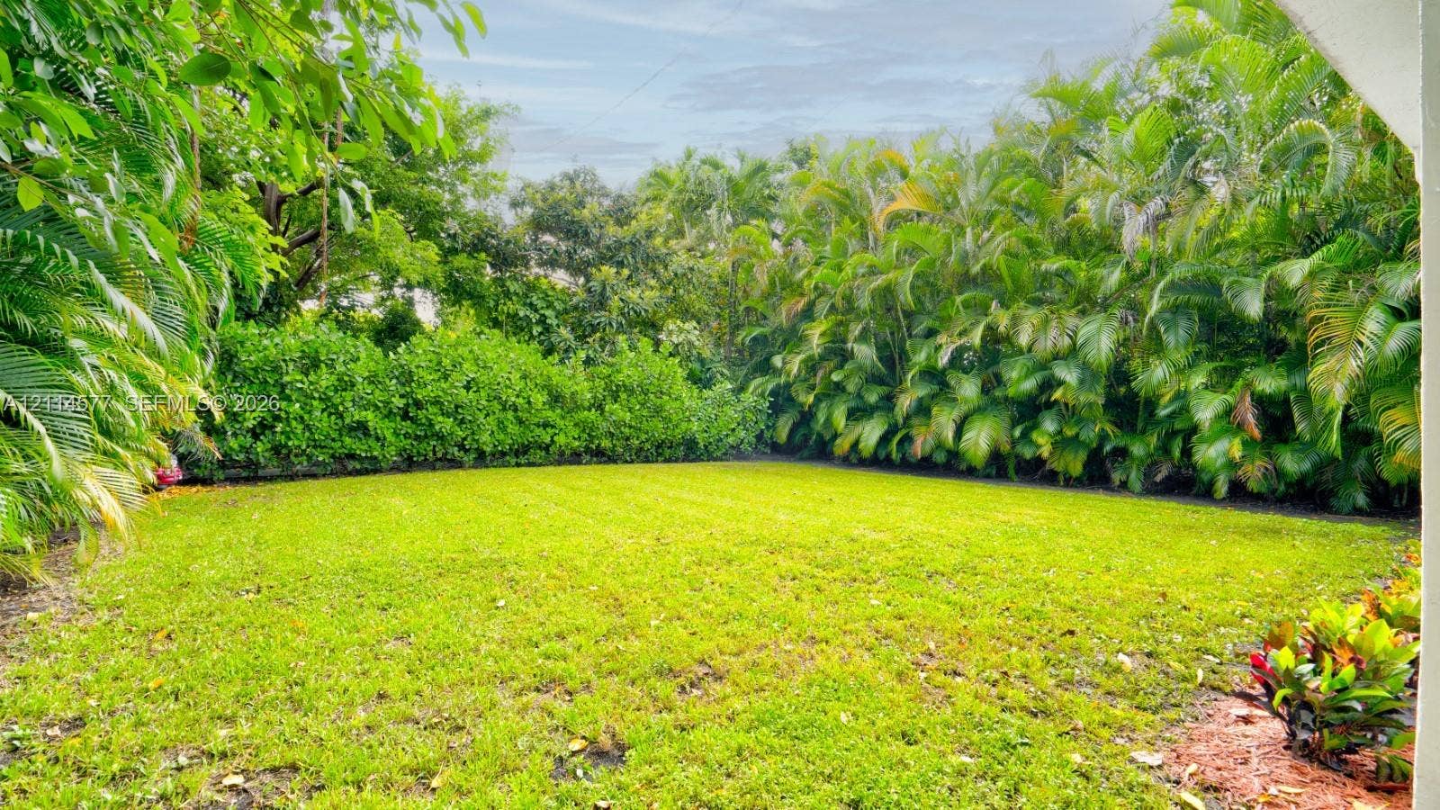 311 SW 38th Court, #0, Miami, Miami, FL 33134 Backyard featuring a level lawn, mature perimeter palm trees, and dense shrubbery