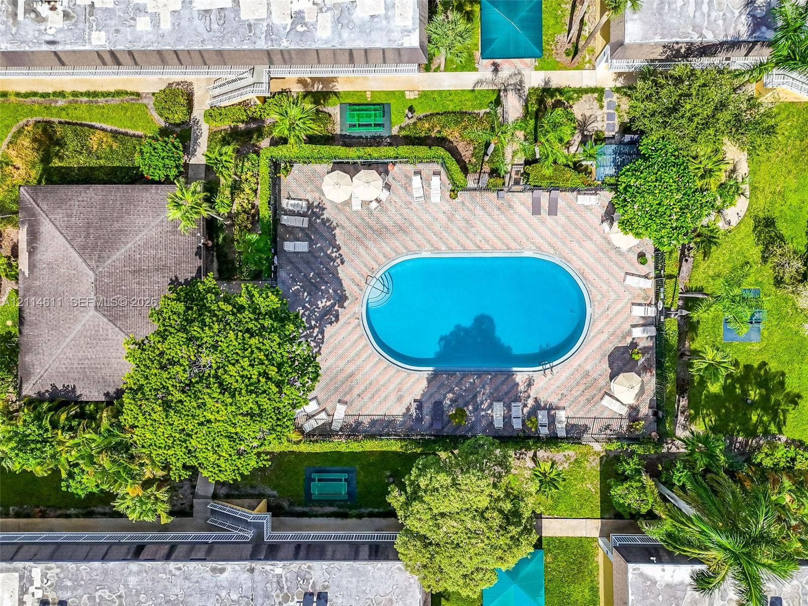 Aerial view of an oval swimming pool surrounded by a paved deck, mature trees, manicured hedges, and green space