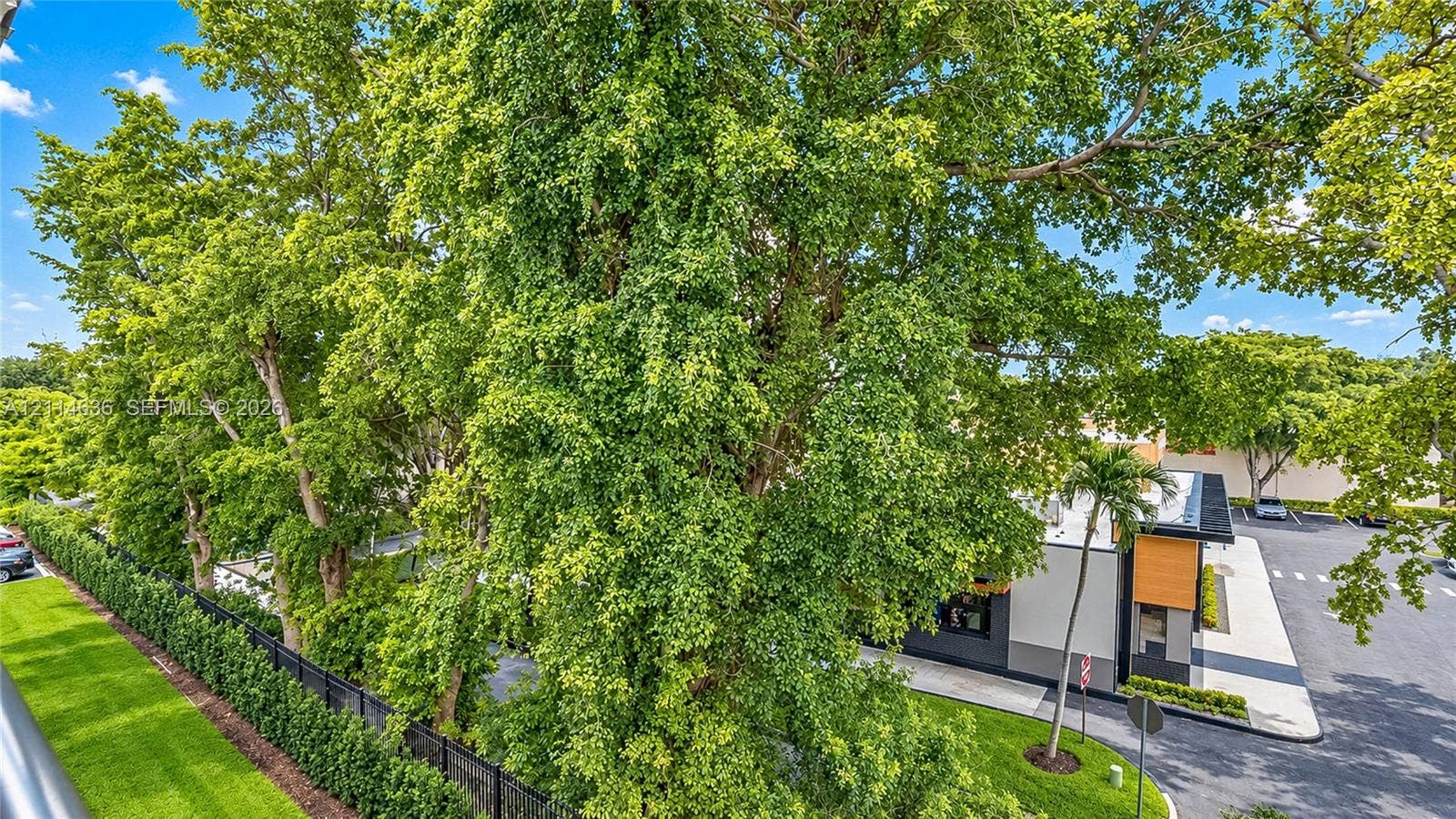 14155 SW 87th Street, #404-E, Miami, Miami, FL 33183 Extensive mature landscaping featuring tall deciduous trees, manicured lawn areas, black metal perimeter fencing, and paved surface parking
