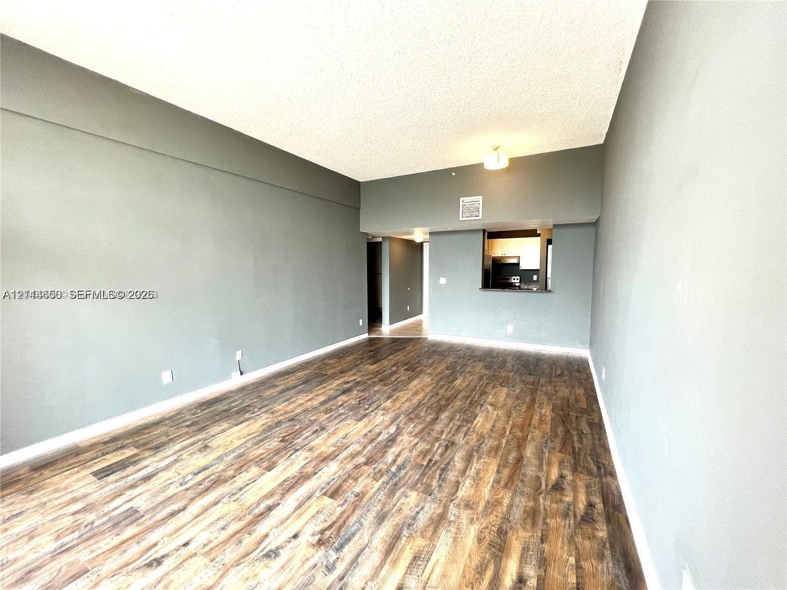 1450 SE 3rd Avenue, #411, Dania, Dania Beach, FL 33004 Spacious room featuring wood-finish flooring, vaulted ceilings, and a kitchen pass-through window with an integrated counter