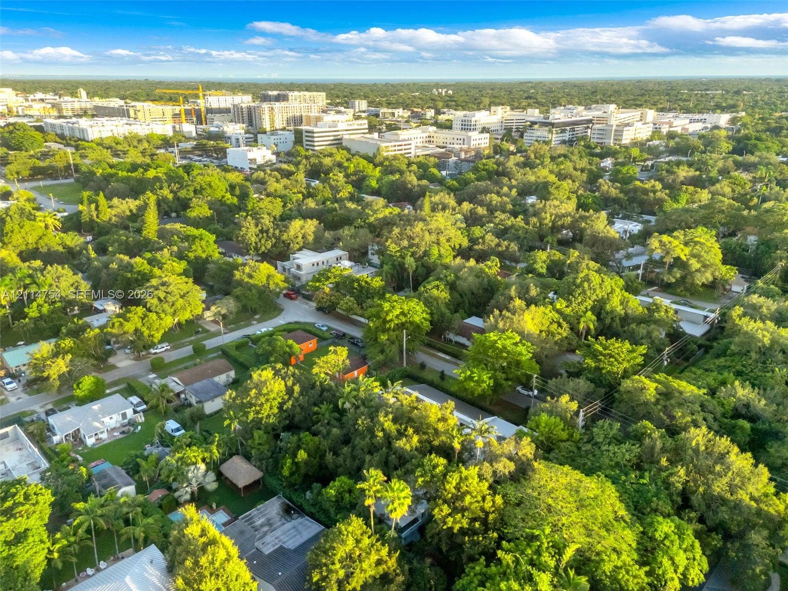 6731 SW 64th Avenue, South Miami, FL 33143 Aerial perspective of a residential property featuring an in-ground swimming pool, concrete patio, and established mature trees within a heavily wooded neighborhood
