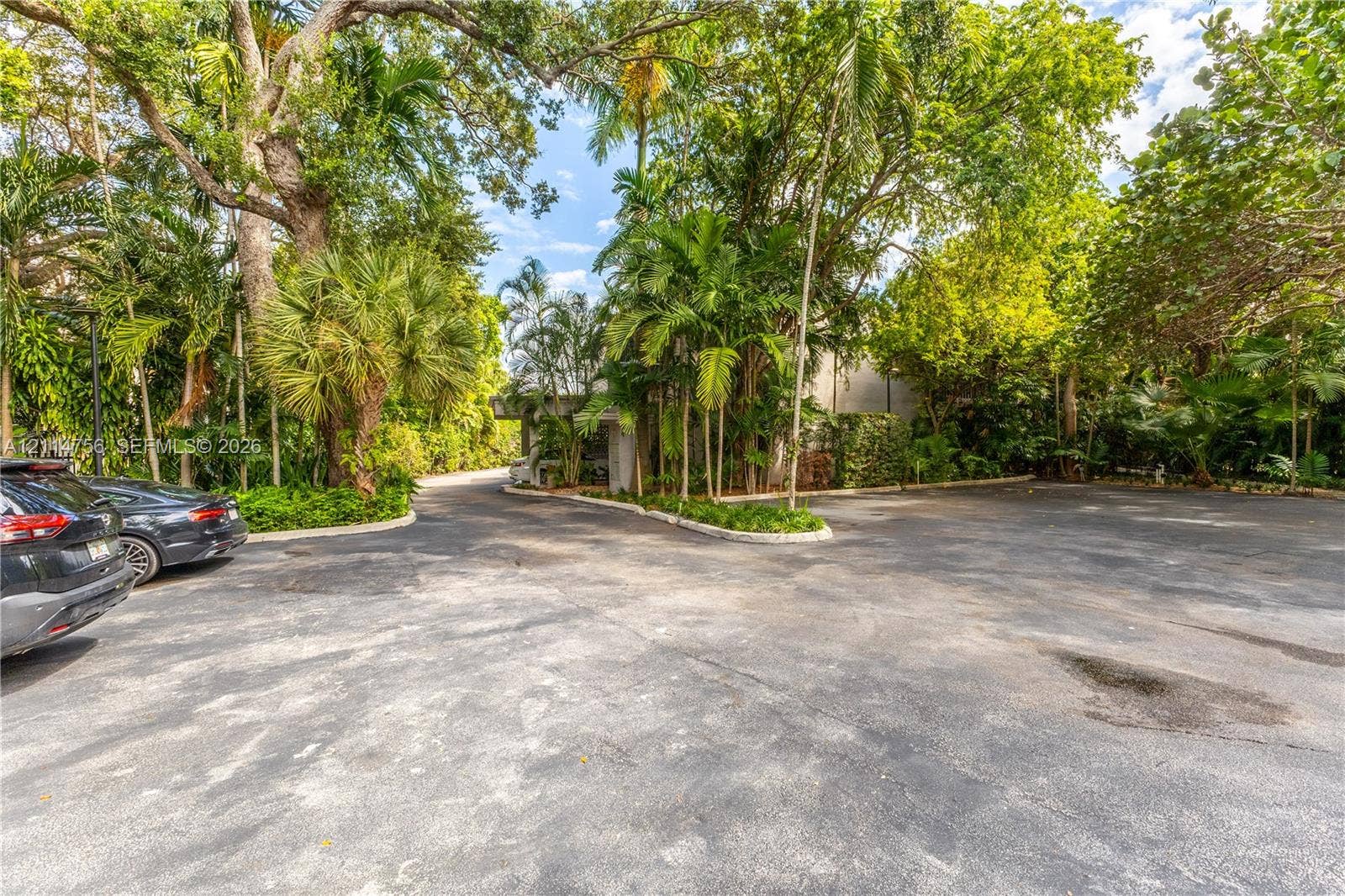 Asphalt parking area featuring mature trees, established palm vegetation, and a covered building entrance