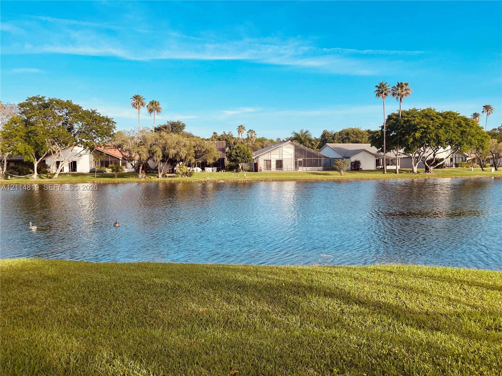 1952 Water Ridge Drive, #1952, Weston, Weston, FL 33326 Waterfront property featuring a manicured lawn, mature trees, and palms