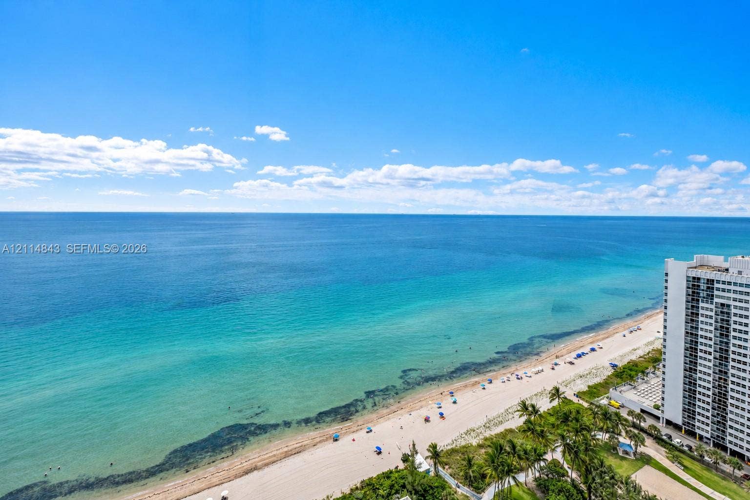 Panoramic ocean exposure featuring a sandy coastline, shoreline vegetation, and proximity to high-rise structures