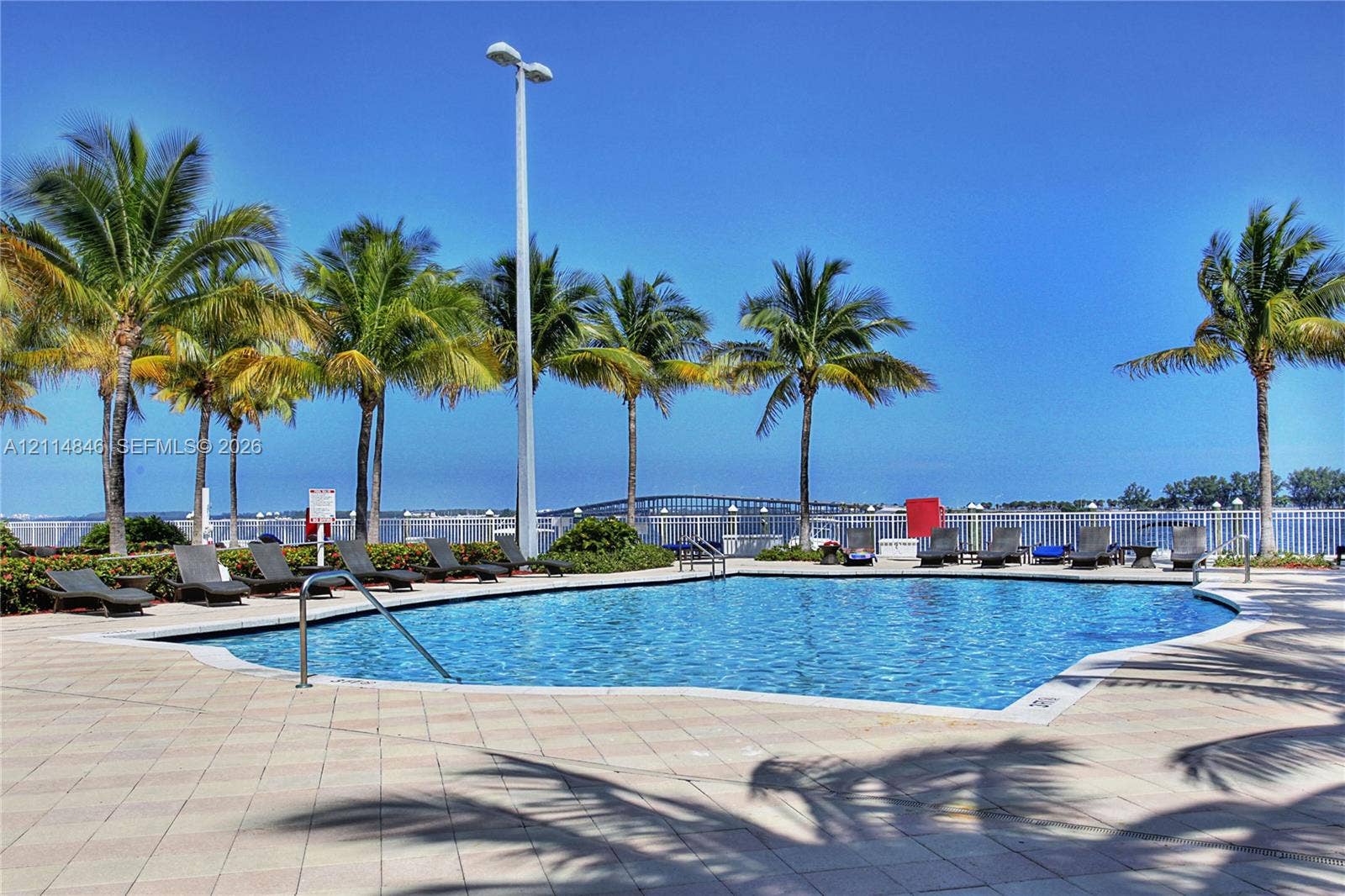 2101 Brickell Avenue, #601, Miami, Miami, FL 33129 Swimming pool with concrete paver decking, metal perimeter fencing, and mature palm trees