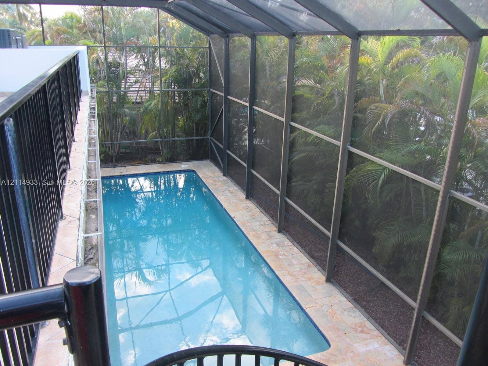 1001 Bella Vista Avenue, Coral Gables, Coral Gables, FL 33156 Screen-enclosed swimming pool featuring natural stone decking, metal structural framing, and palm tree perimeter foliage