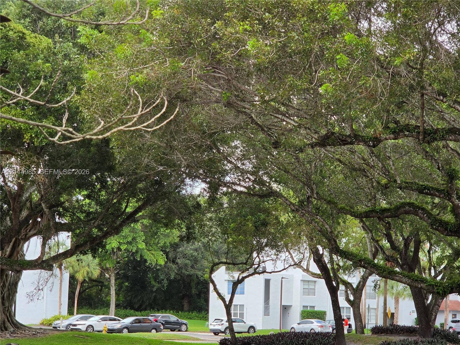9441 Live Oak Place, #308, Davie, Davie, FL 33324 Exterior facade featuring a light-toned finish, multi-level structural design, and mature canopy trees across the grounds