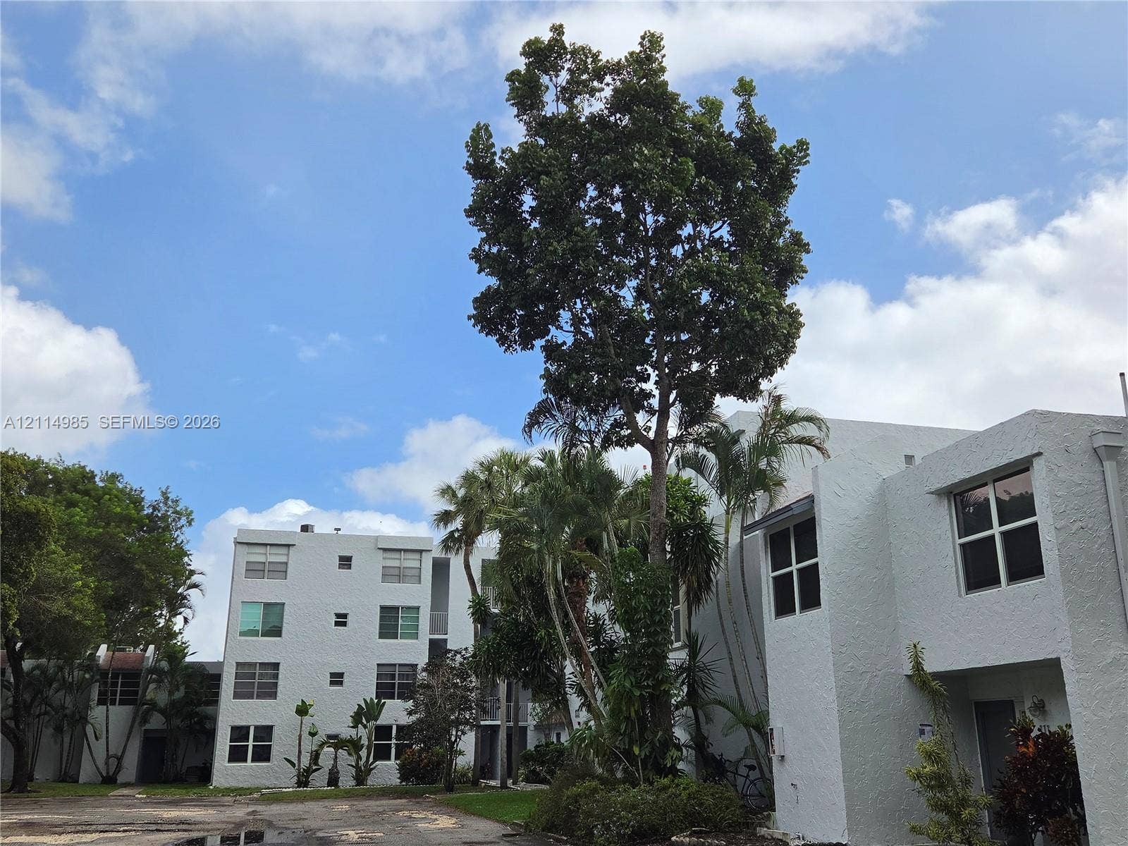 9441 Live Oak Place, #308, Davie, Davie, FL 33324 Multi-story residential building with textured stucco exterior, grid-pattern windows, and mature trees