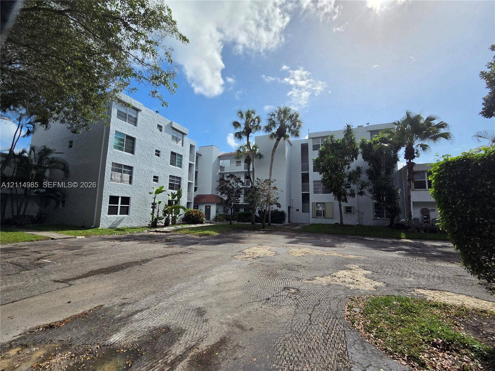 9441 Live Oak Place, #308, Davie, Davie, FL 33324 Multi-story stucco exterior featuring multiple rectangular windows, palm trees, and mature landscaping