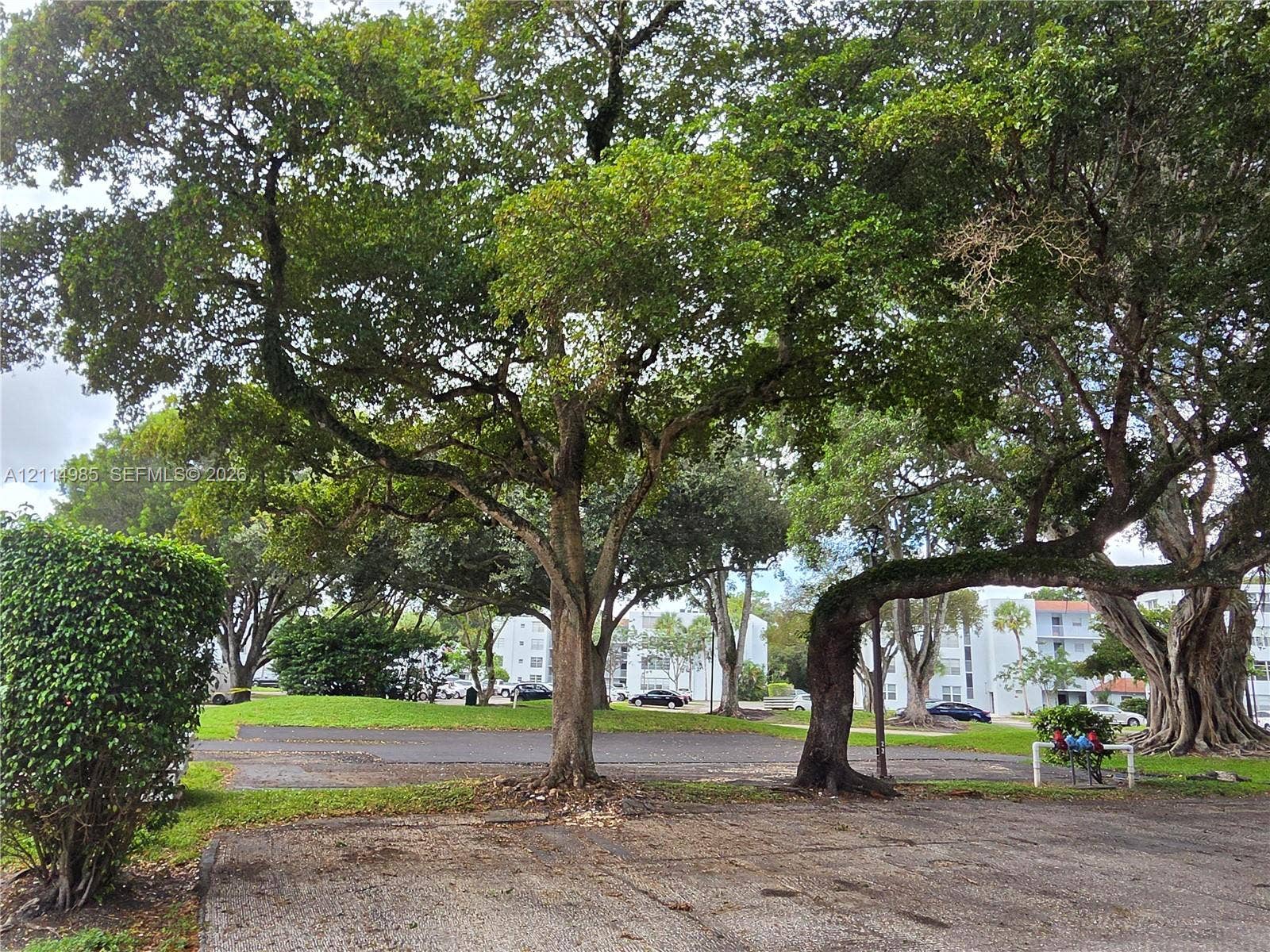 9441 Live Oak Place, #308, Davie, Davie, FL 33324 Exterior grounds featuring expansive green space, mature canopy trees, and paved areas