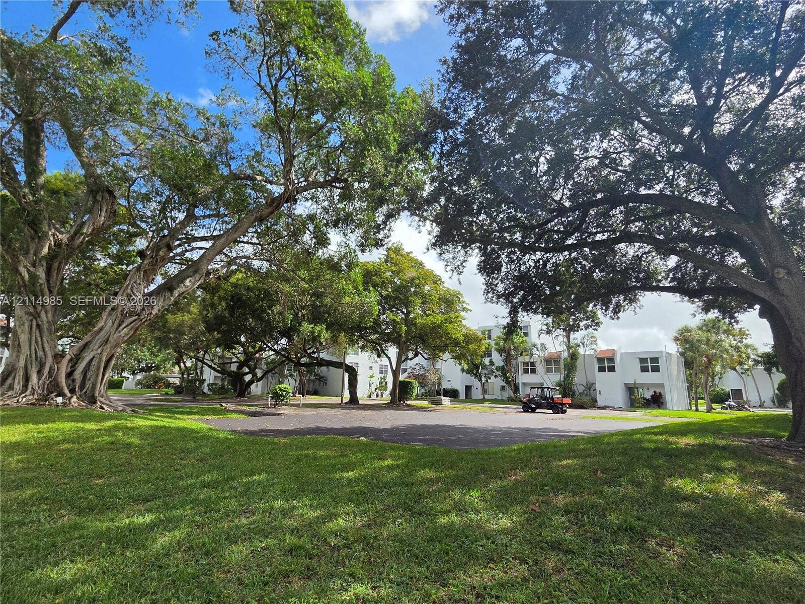 9441 Live Oak Place, #308, Davie, Davie, FL 33324 Expansive grounds featuring mature trees and a manicured lawn surrounding a paved parking area