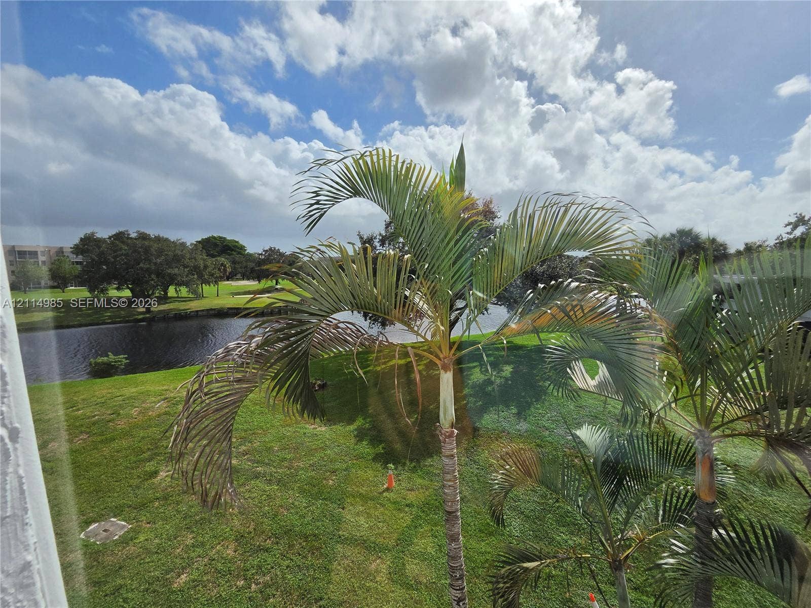 9441 Live Oak Place, #308, Davie, Davie, FL 33324 Exterior scenery featuring a waterfront setting, manicured lawn, and mature palm trees
