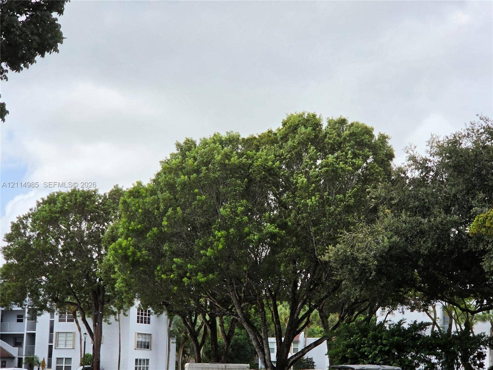 9441 Live Oak Place, #308, Davie, Davie, FL 33324 Photo 42