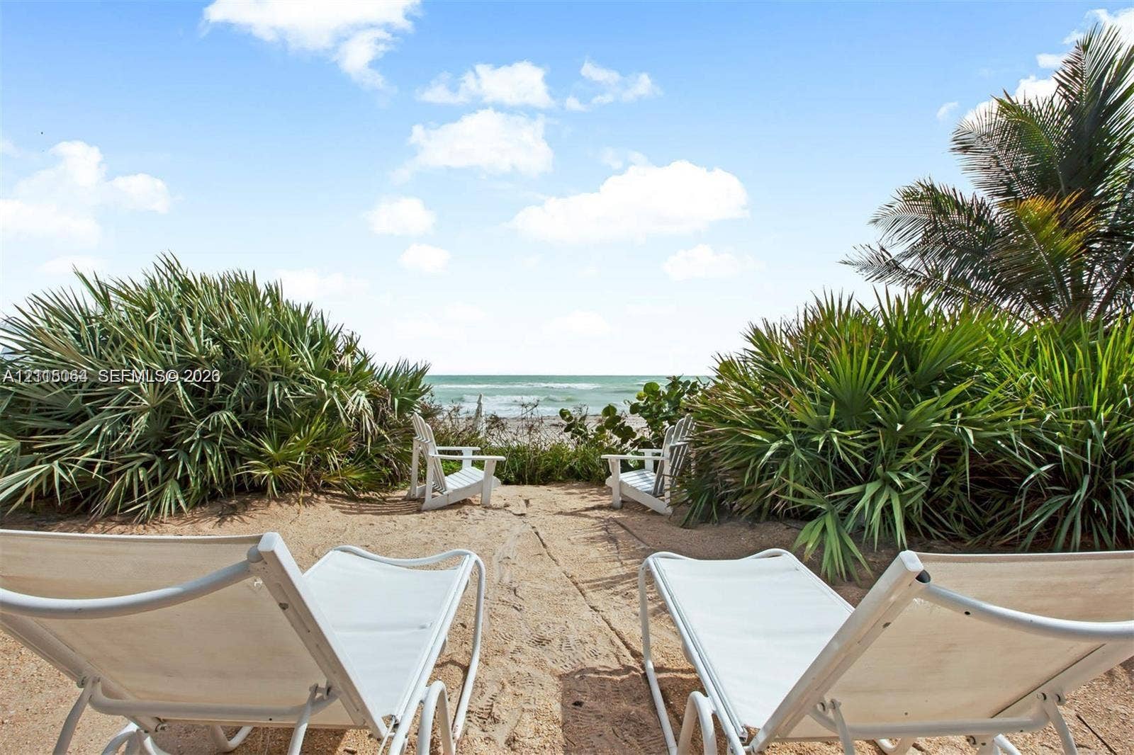 17315 Collins Avenue, #1808, Sunny Isles Beach, FL 33160 Direct coastal access featuring sandy terrain, tropical vegetation, and mature palm trees