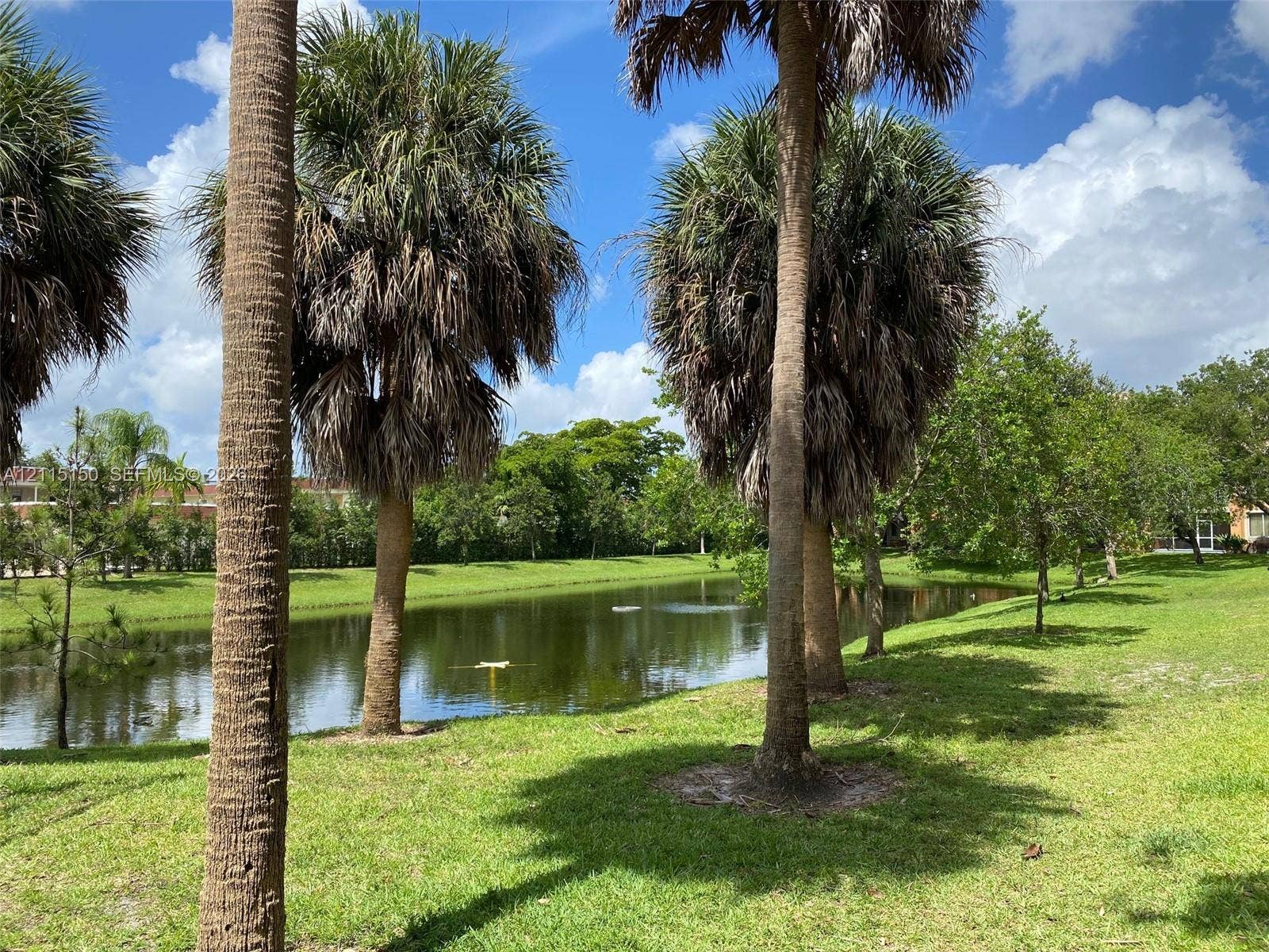 6992 SW 39th Street, #I201, Davie, Davie, FL 33314 Waterfront grounds featuring a pond, manicured lawn, and mature palm trees