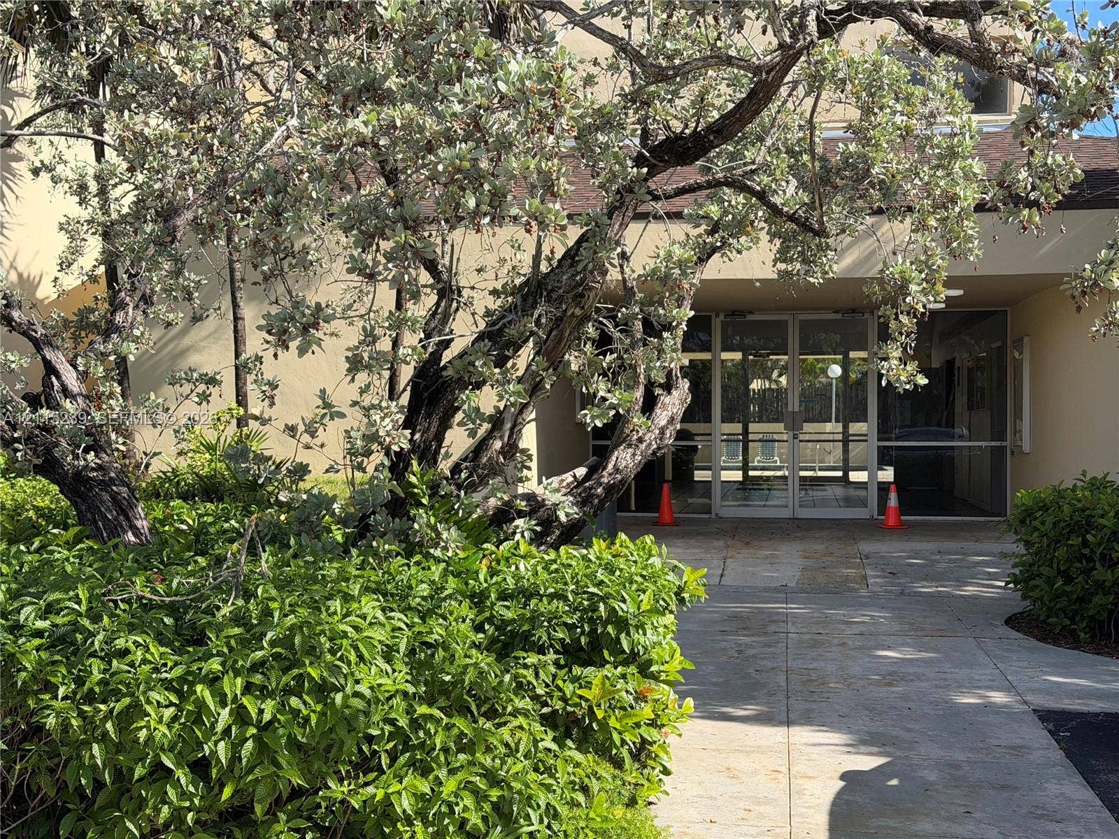 9015 SW 138th Street, #16-2, Miami, Miami, FL 33176 Exterior entrance featuring glass double doors, concrete walkway, and mature landscaping
