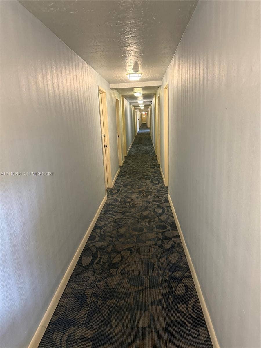 1205 Mariposa Avenue, #302, Coral Gables, Coral Gables, FL 33146 Interior corridor featuring patterned carpeting, neutral wall paint, and multiple ceiling-mounted flush light fixtures