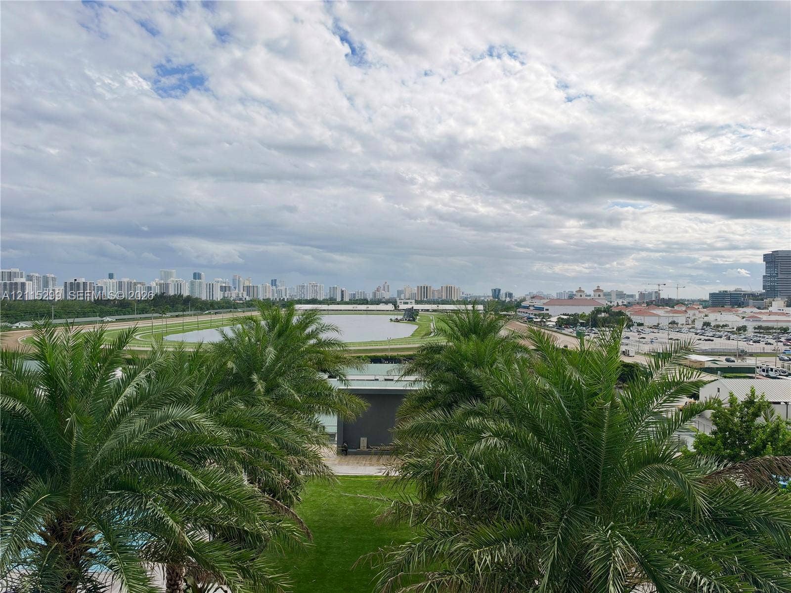 Expansive outdoor area featuring mature palm trees and a manicured lawn