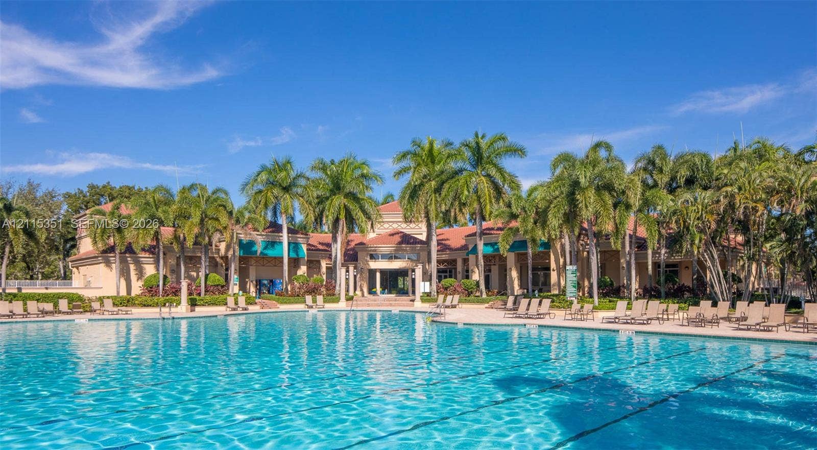 13845 NW 20th Street, Pembroke Pines, FL 33028 Large-scale swimming pool featuring a concrete deck and mature palm tree landscaping