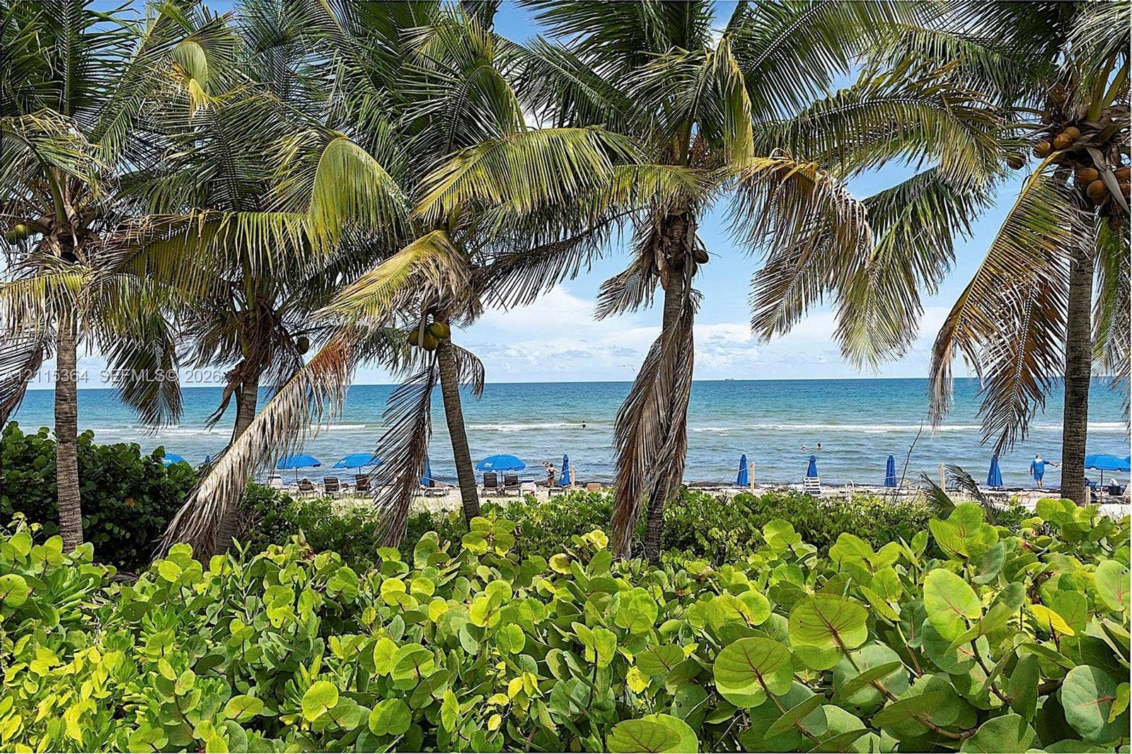 1980 S Ocean Drive, #20A, Hallandale Beach, Hallandale Beach, FL 33009 Oceanfront scenery featuring mature palm trees, coastal foliage, and sandy beach shoreline