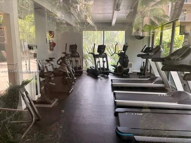 9301 SW 92nd Avenue, #A418, Miami, Miami, FL 33176 Fitness center featuring rubberized flooring, expansive floor-to-ceiling windows, and natural lighting