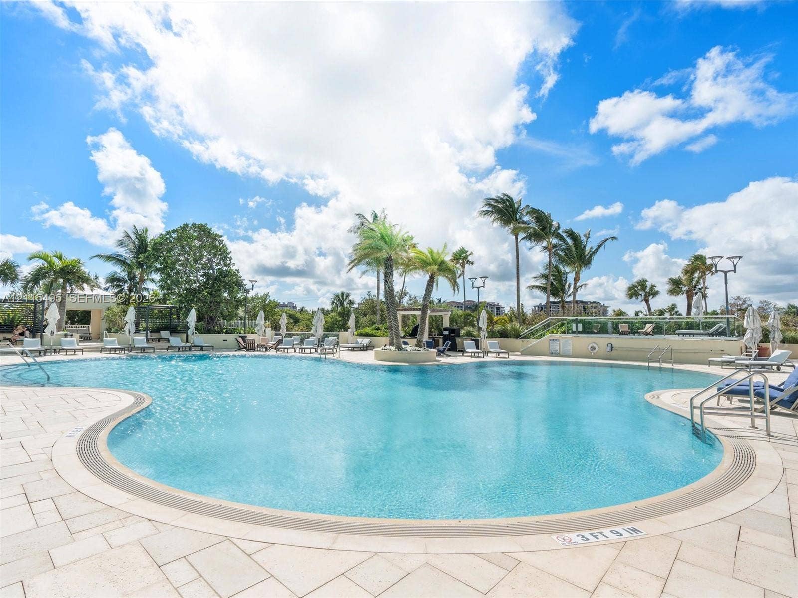 Free-form swimming pool with stone-tiled decking, integrated palms, and metal railings
