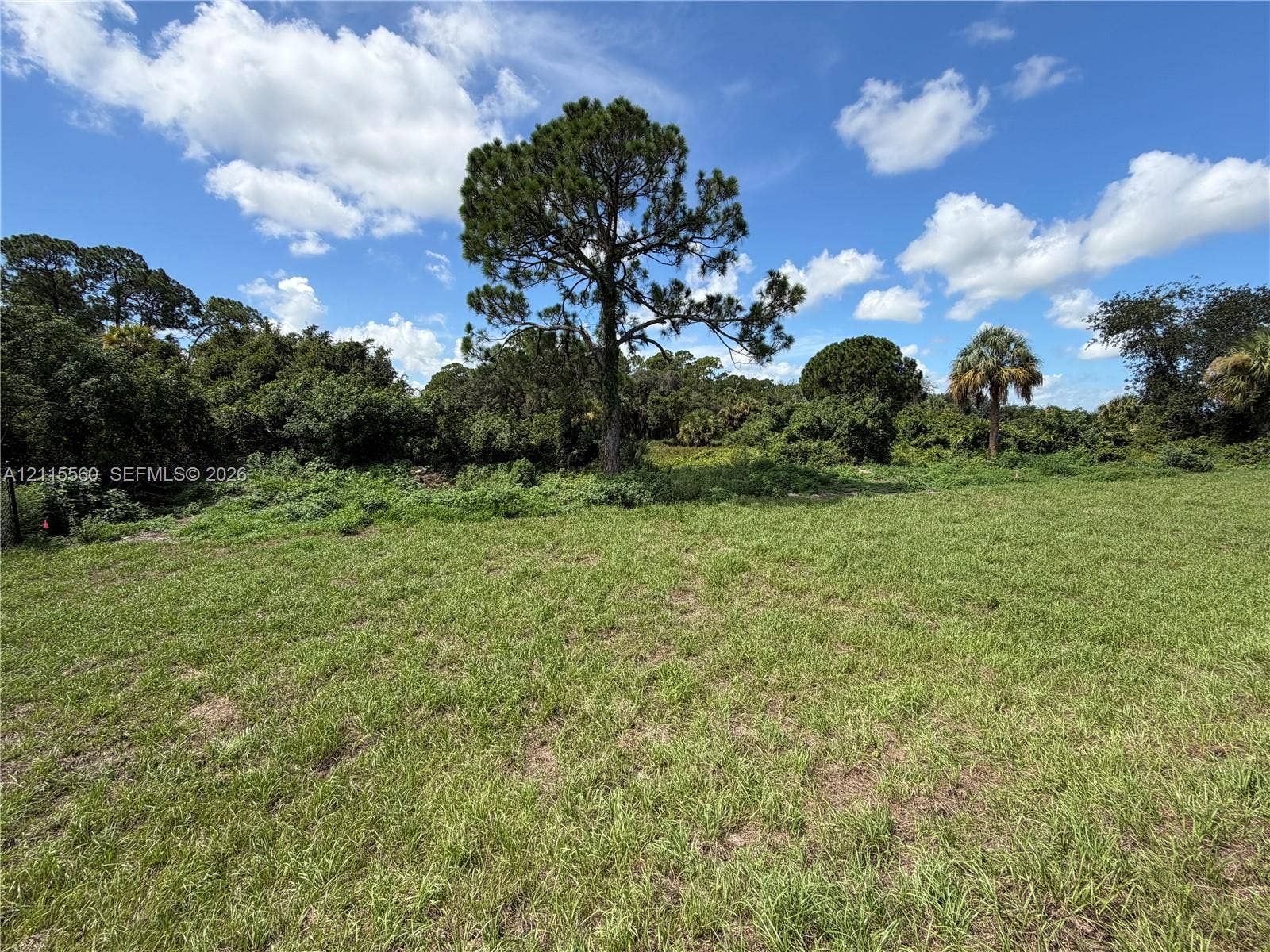 105 Concord Loop, Labelle, FL 33935 Expansive open lot featuring native grasses and mature specimen trees