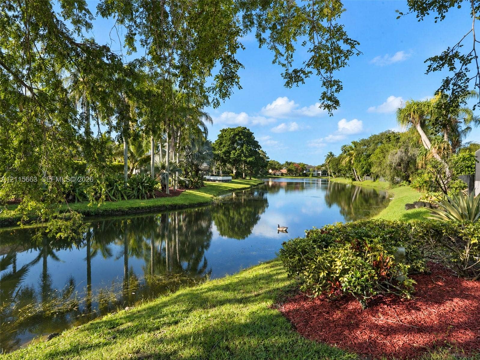 9788 NW 18th Street, Coral Springs, FL 33071 Waterfront grounds featuring a natural pond, mature tropical trees, landscaped shrubbery, and mulched garden beds