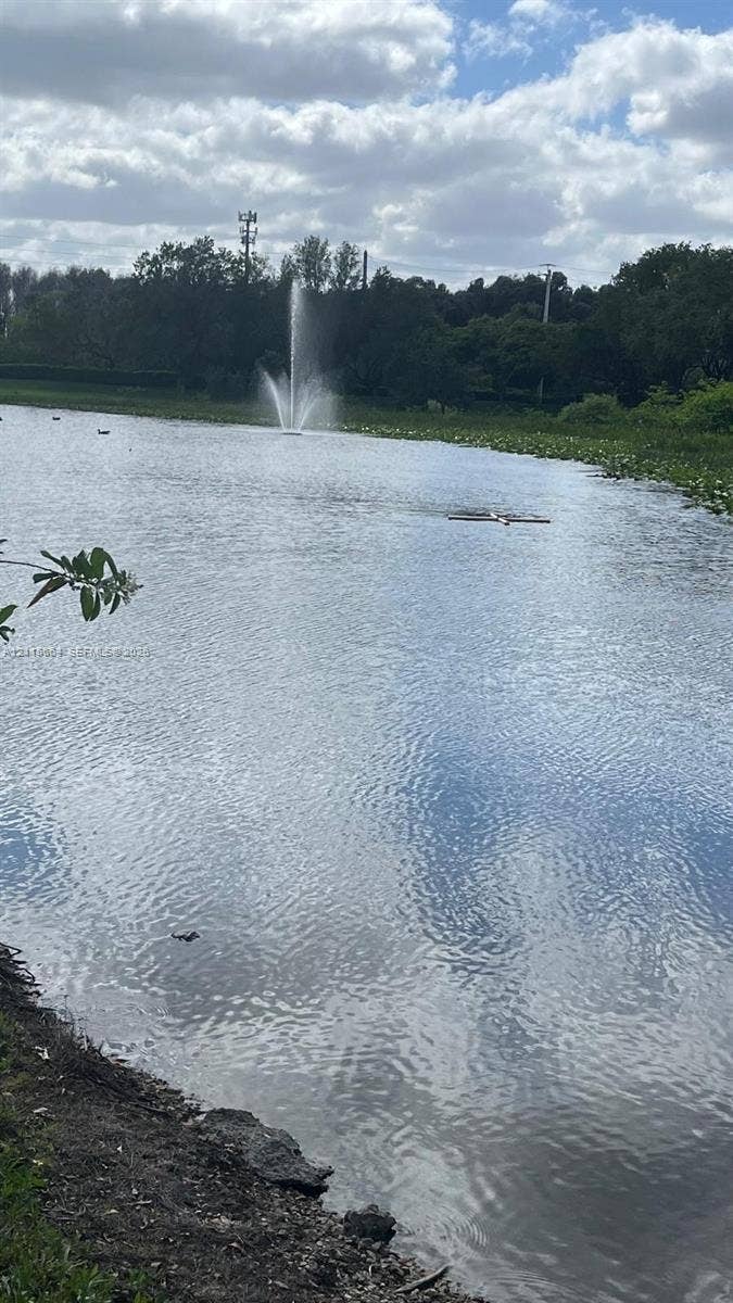 19409 NW 24th Place, Pembroke Pines, FL 33029 Large lake featuring a central aerating fountain, natural shoreline, and mature tree line