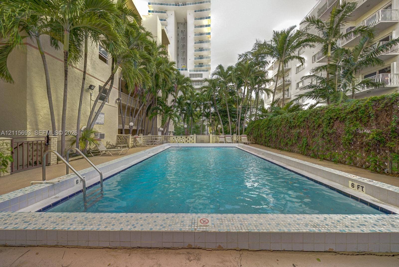 In-ground swimming pool featuring a tiled coping, metal ladder access, and surrounding concrete decking framed by mature palm trees and ivy-covered perimeter walls