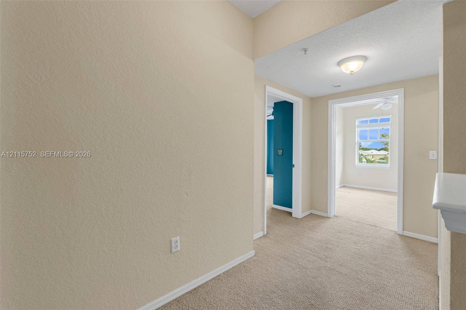 Interior hallway featuring neutral wall finishes, carpeting, and overhead flush-mount lighting, with architectural openings revealing natural light and a multi-pane window
