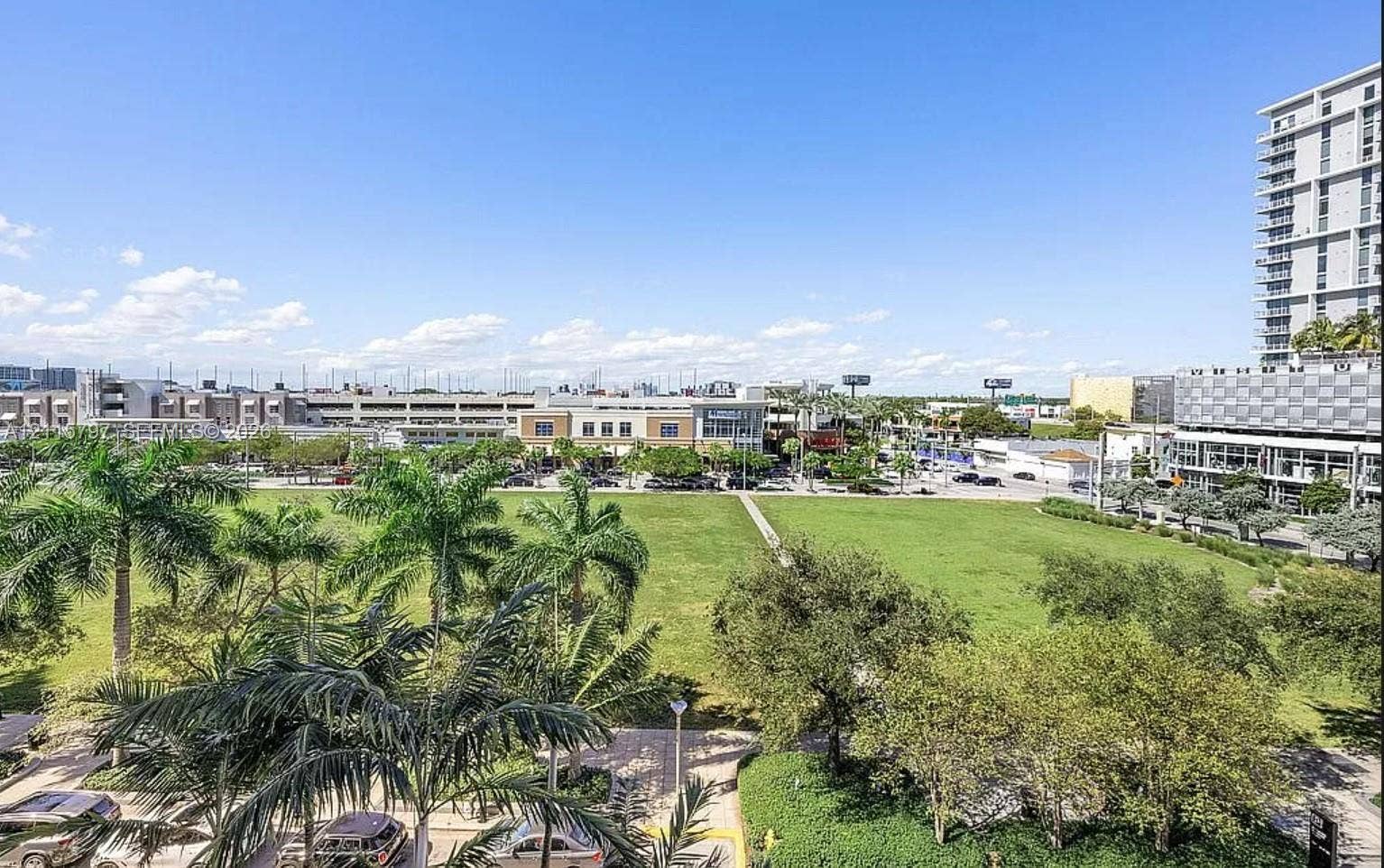 Urban landscape featuring expansive green space, mature palm trees, and multi-story architectural structures