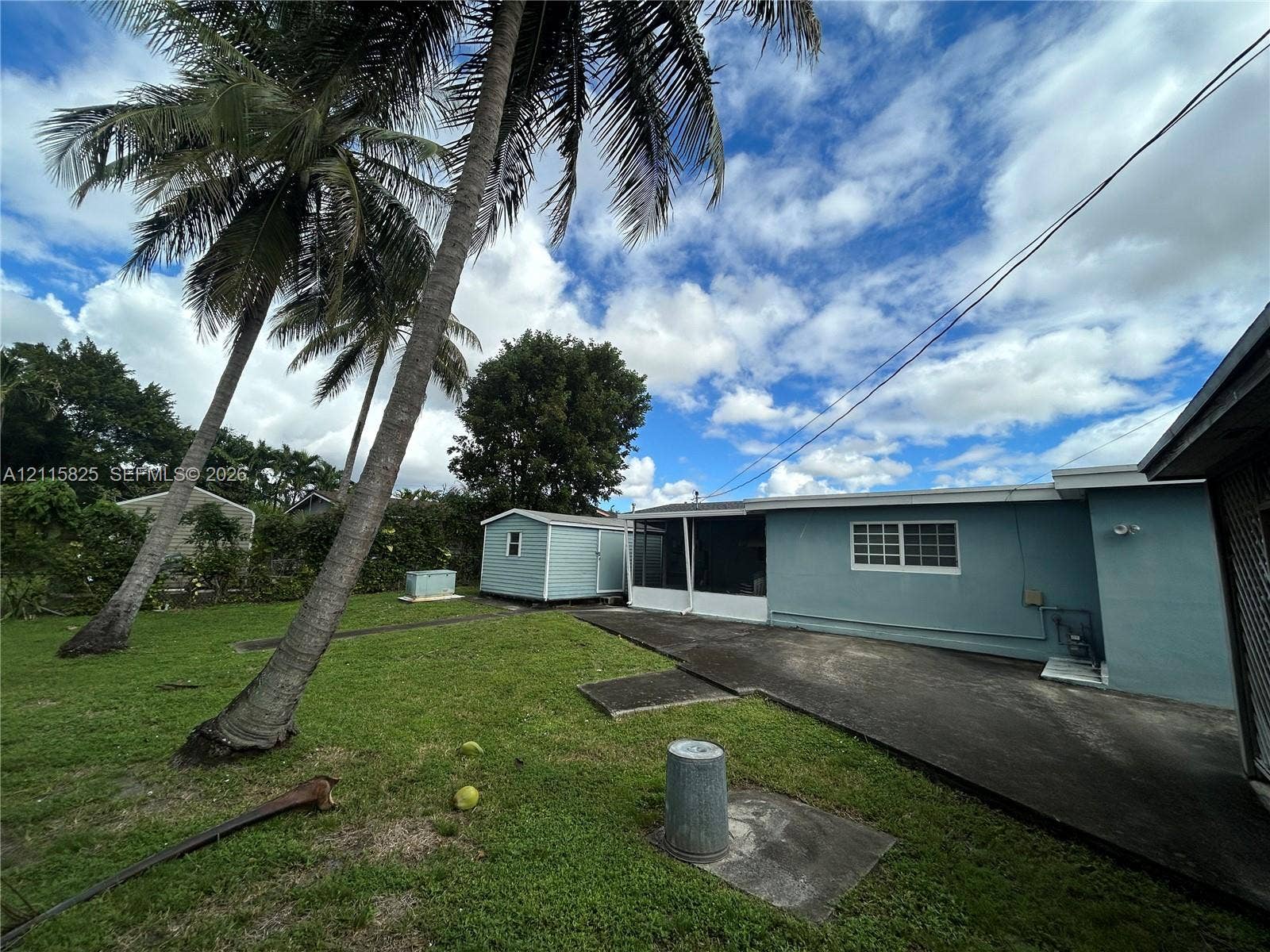 7130 W 12th Court, Hialeah, FL 33014 Backyard featuring a concrete patio, screen-enclosed area, detached storage structure, and mature palm trees