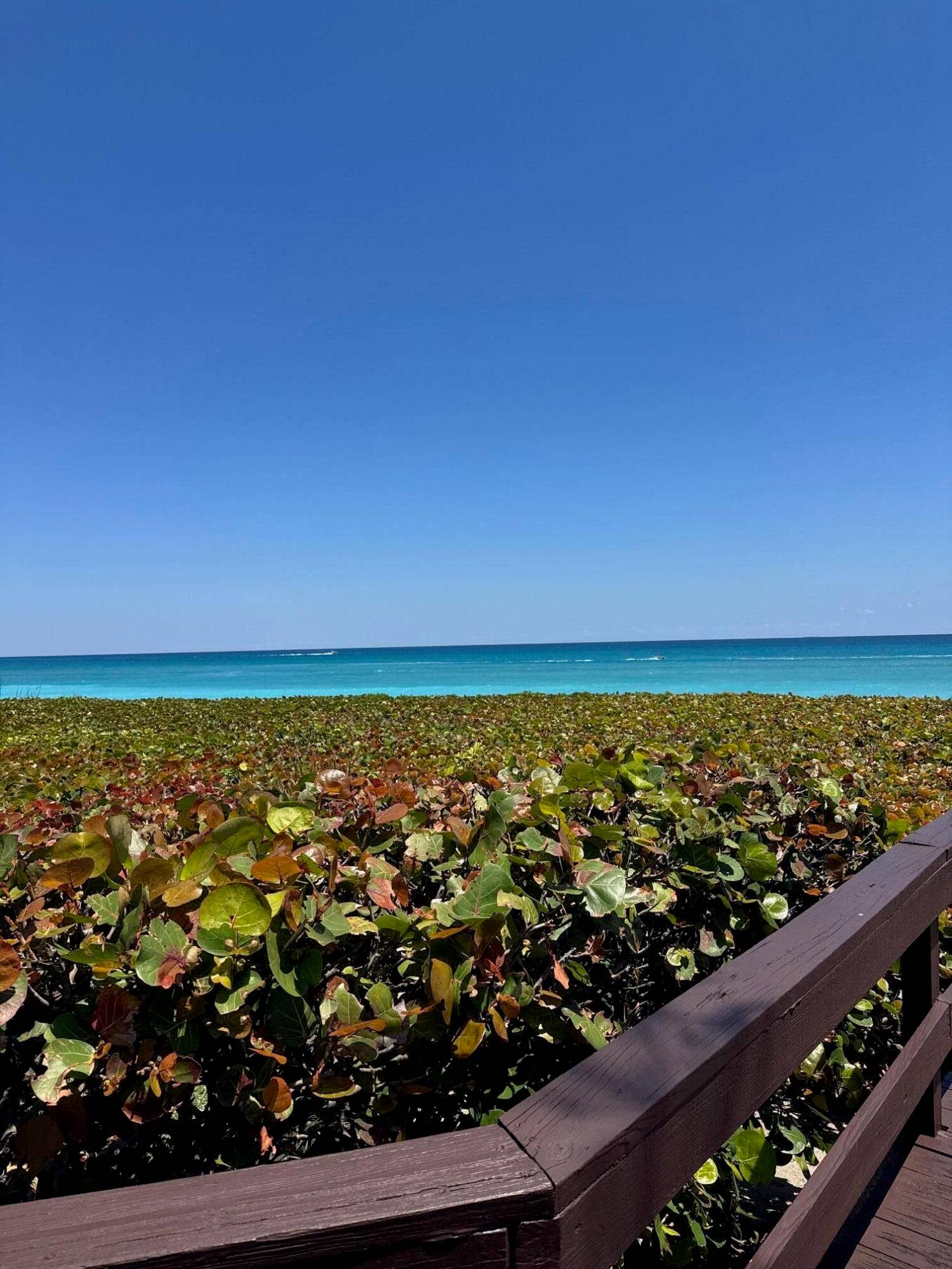 170 Celestial Way, #3-2, Juno Beach, Juno Beach, FL 33408
