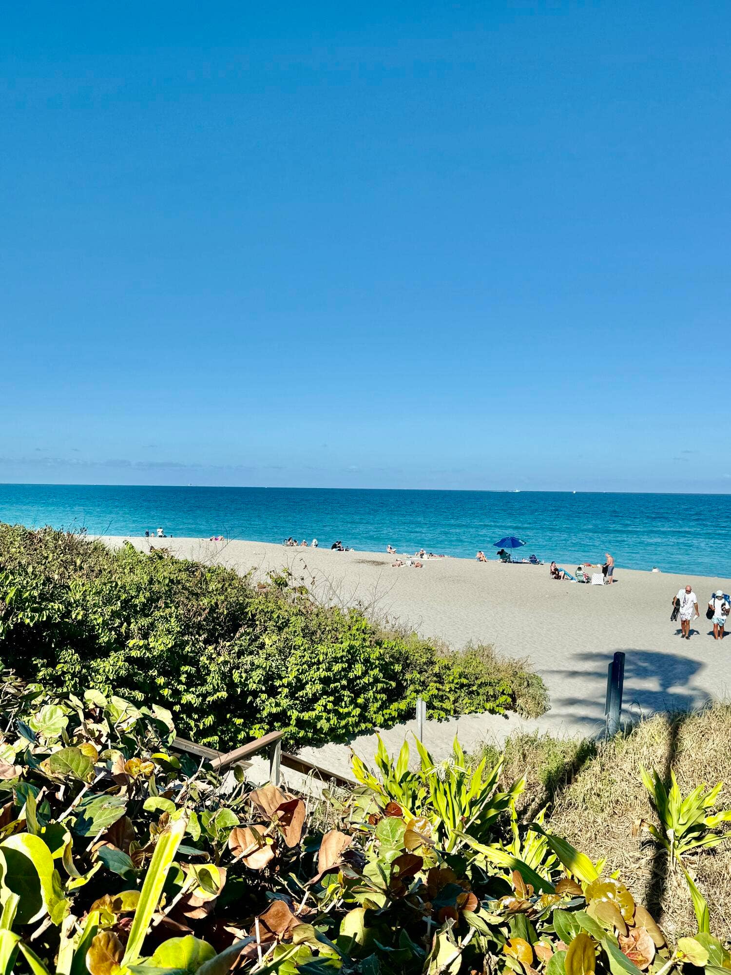 915 Bay Colony Drive S, Juno Beach, FL 33408 FullSizeRender (3)