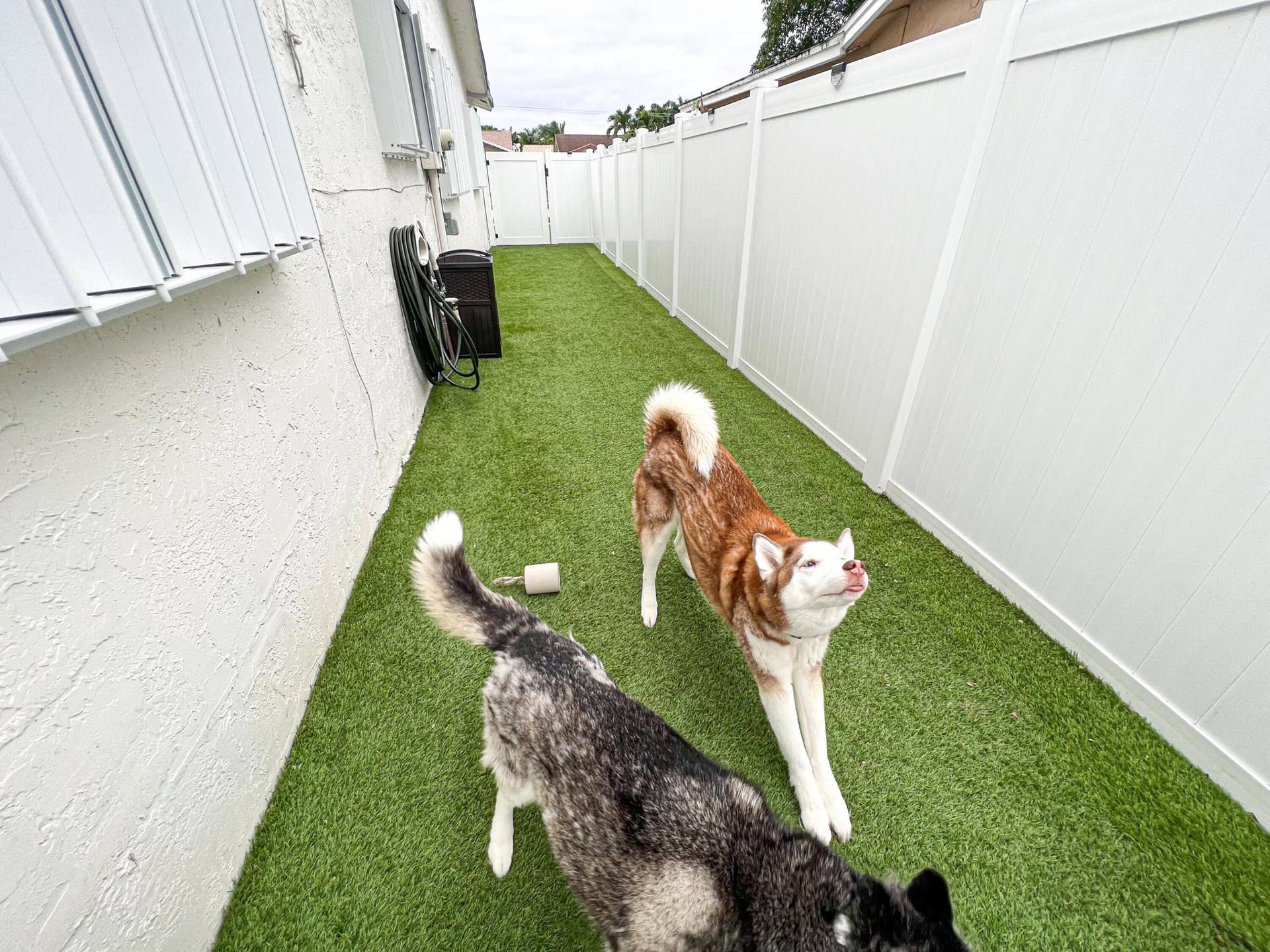 8912 SW 6th Street, Boca Raton, Boca Raton, FL 33433 IMG_4877