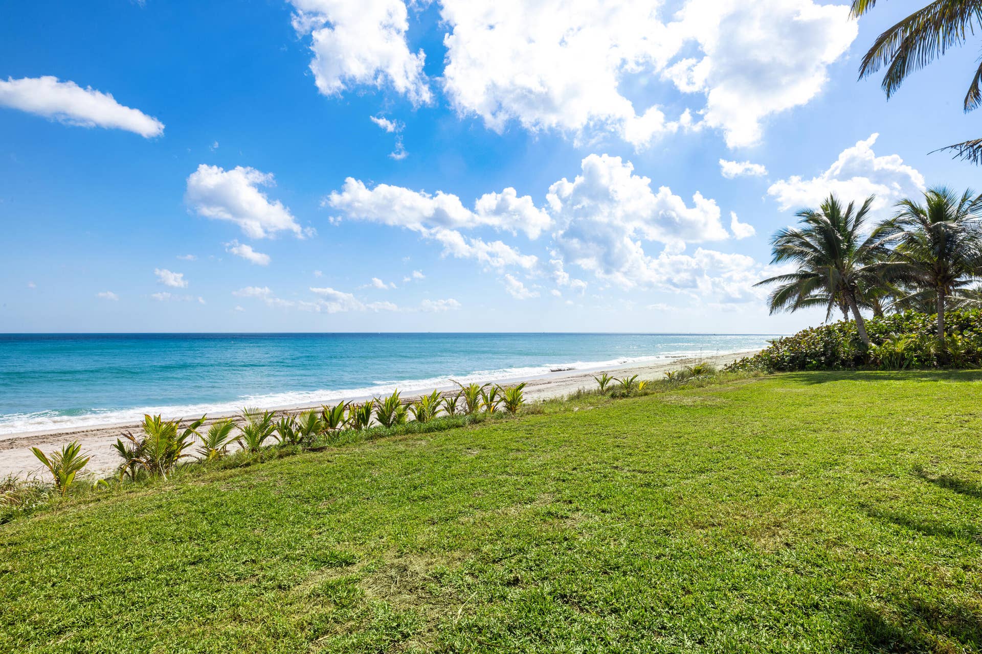 1075 Hillsboro Mile, Hillsboro Beach, FL 33062 Backyard
