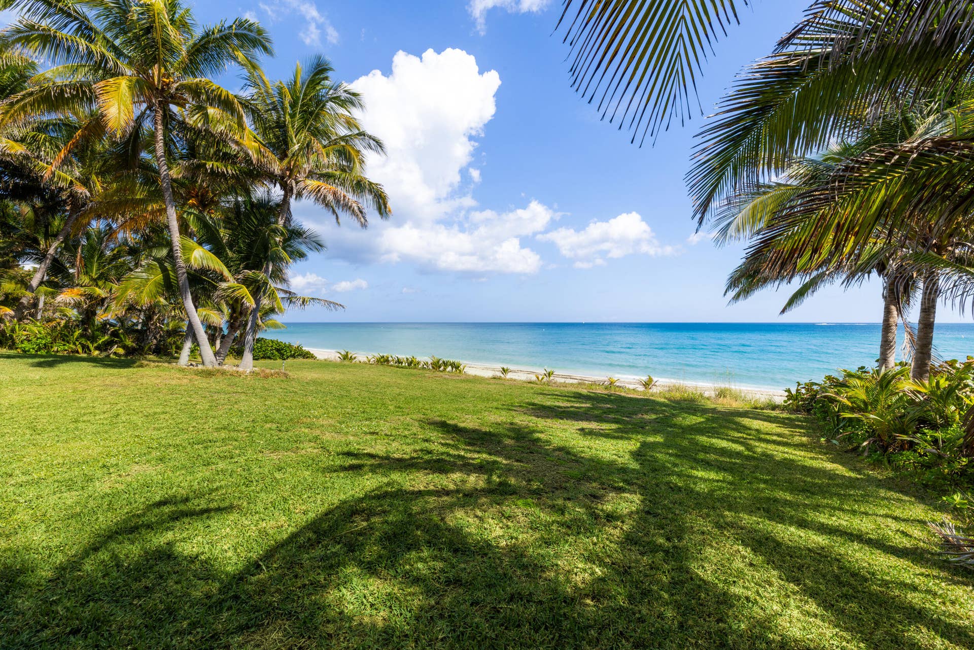 1075 Hillsboro Mile, Hillsboro Beach, FL 33062 Lawn